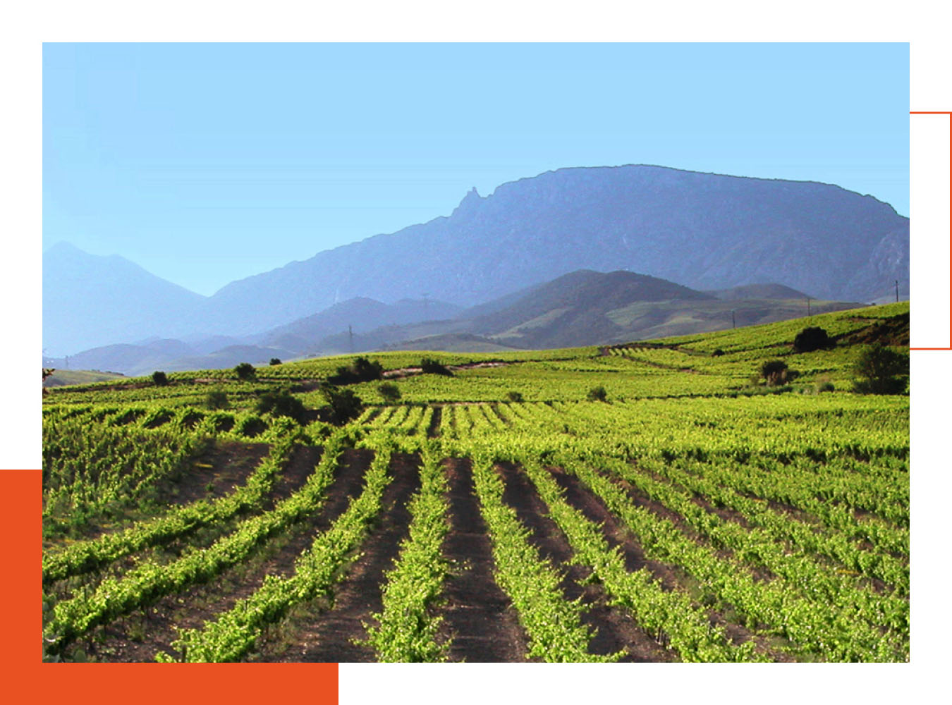 Les vins du terroir du Roussillon (Fenoullèdes par exemple) sont à l'honneur à la carte de L'Almandin